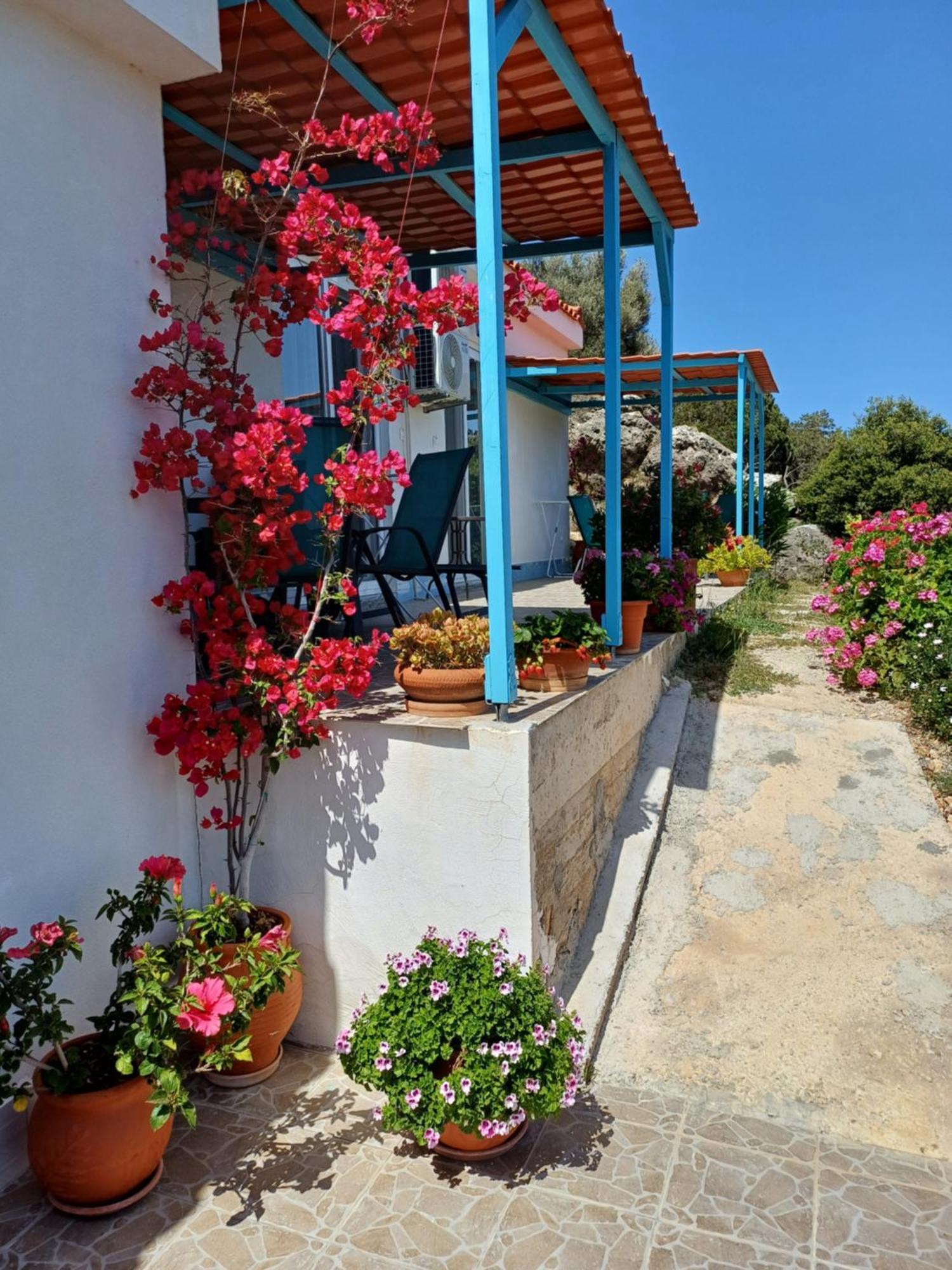 Hari Apartments Vathi, Agios Nikolaos Crete Exterior photo